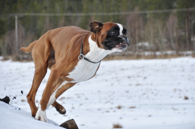 [DSC_5981[5].jpg]