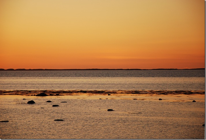 DSC_1403c