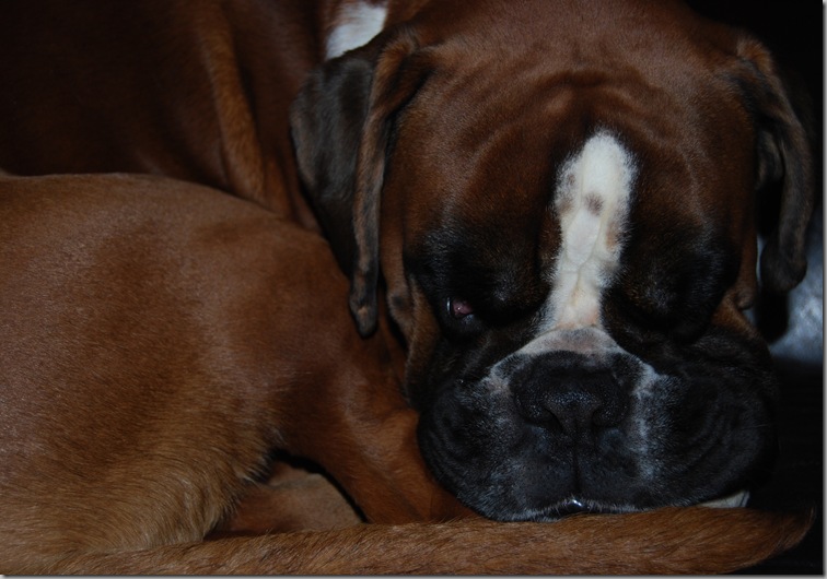 zzzzzzzz