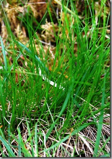 DSC_5615_c