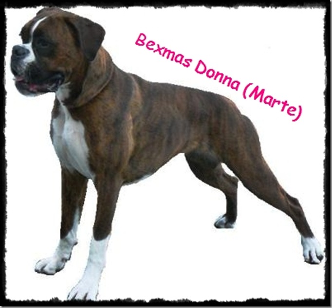 Marte