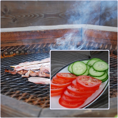 [grill[6].jpg]