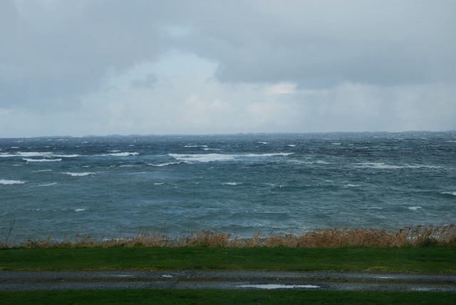 [DSC_3027c[3].jpg]