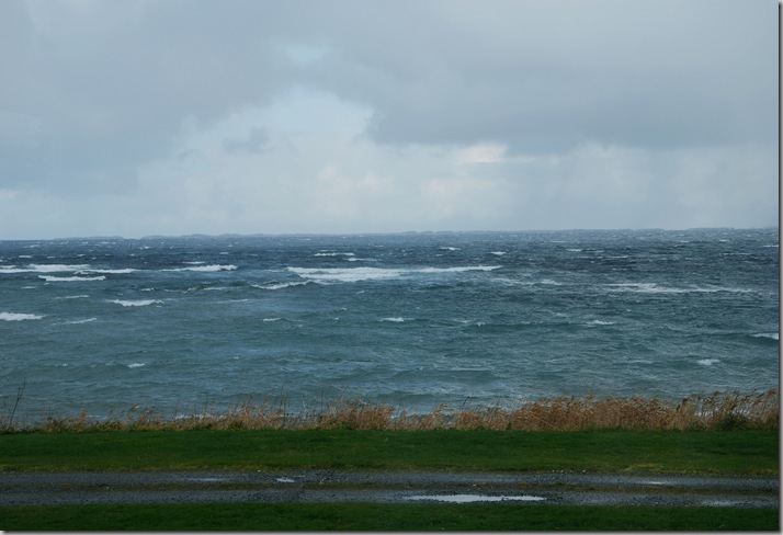 DSC_3027c