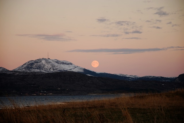 [DSC_3164c[5].jpg]
