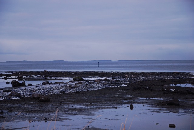 [DSC_3379c[5].jpg]