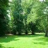 Parkje Dobbelmannweg met hond