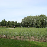 DSC01237.JPG