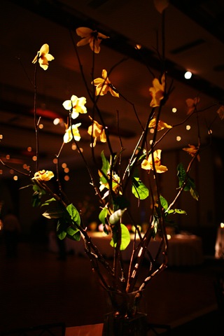 [D0864.jpg]