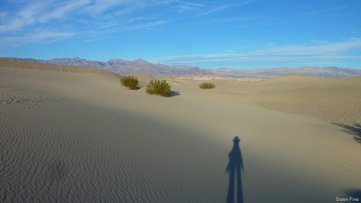 [dawns shadow[2].jpg]