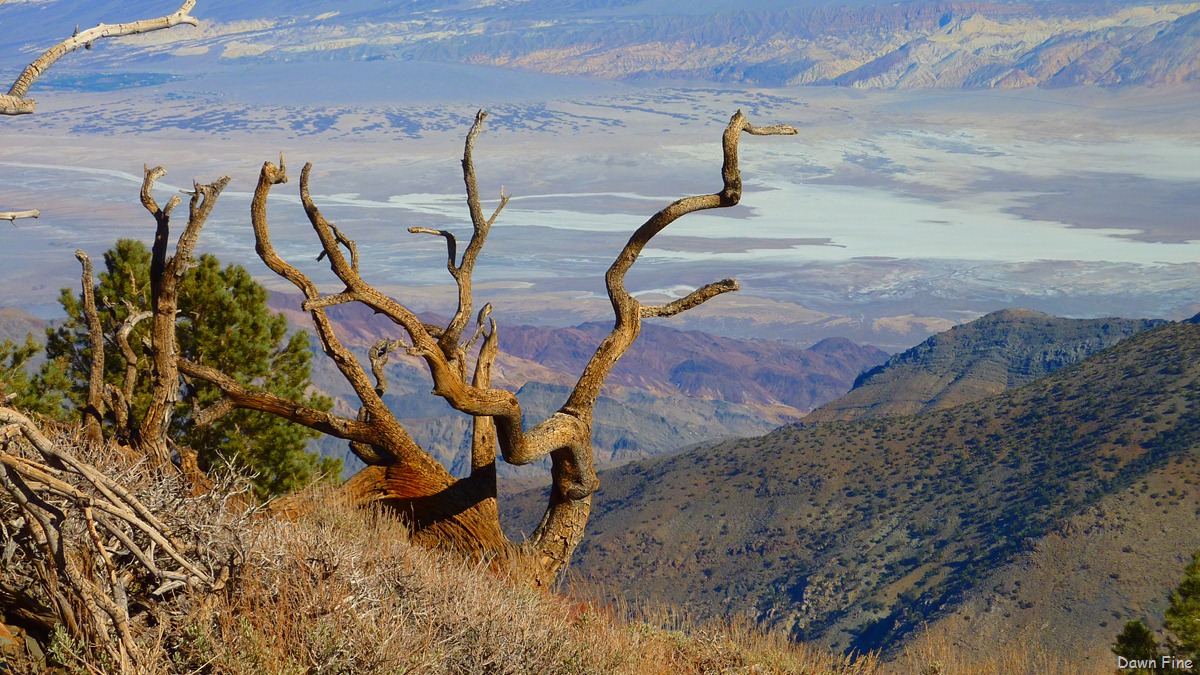 [wildrose hike and charcoal kilns_056[2].jpg]