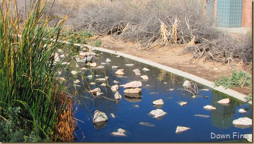 sweetwater wetlands_006