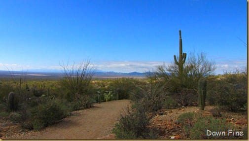 [Desertmuseum_239_thumb11.jpg]