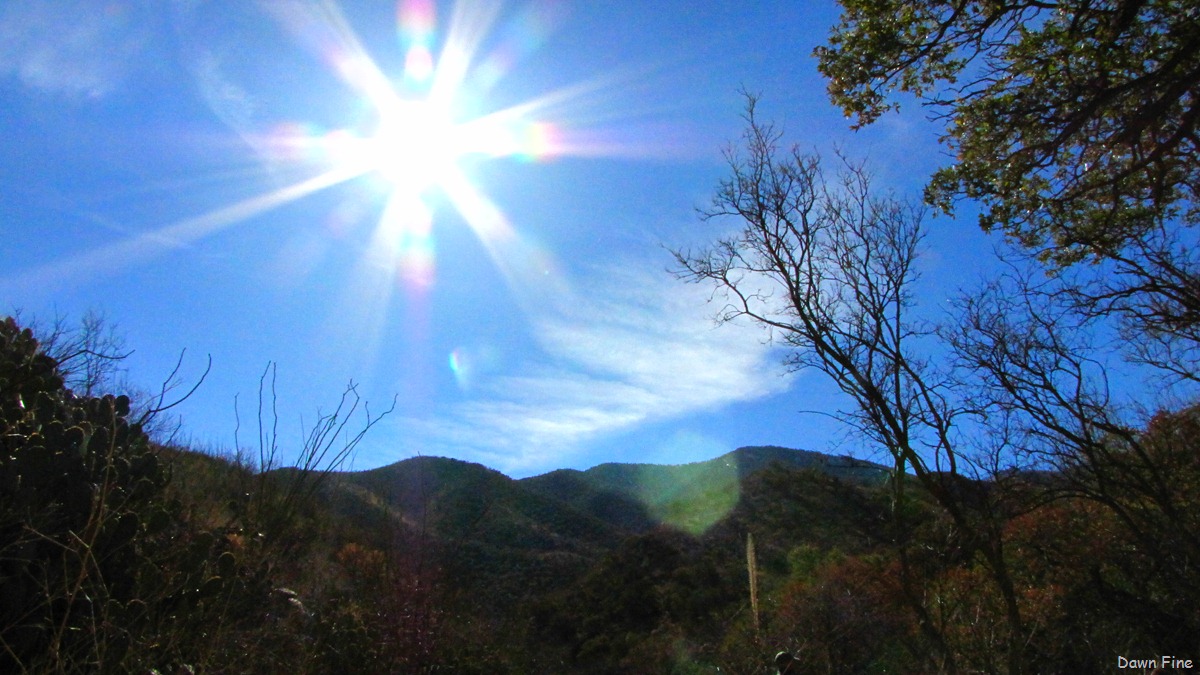 [FloridaWash_0245.jpg]