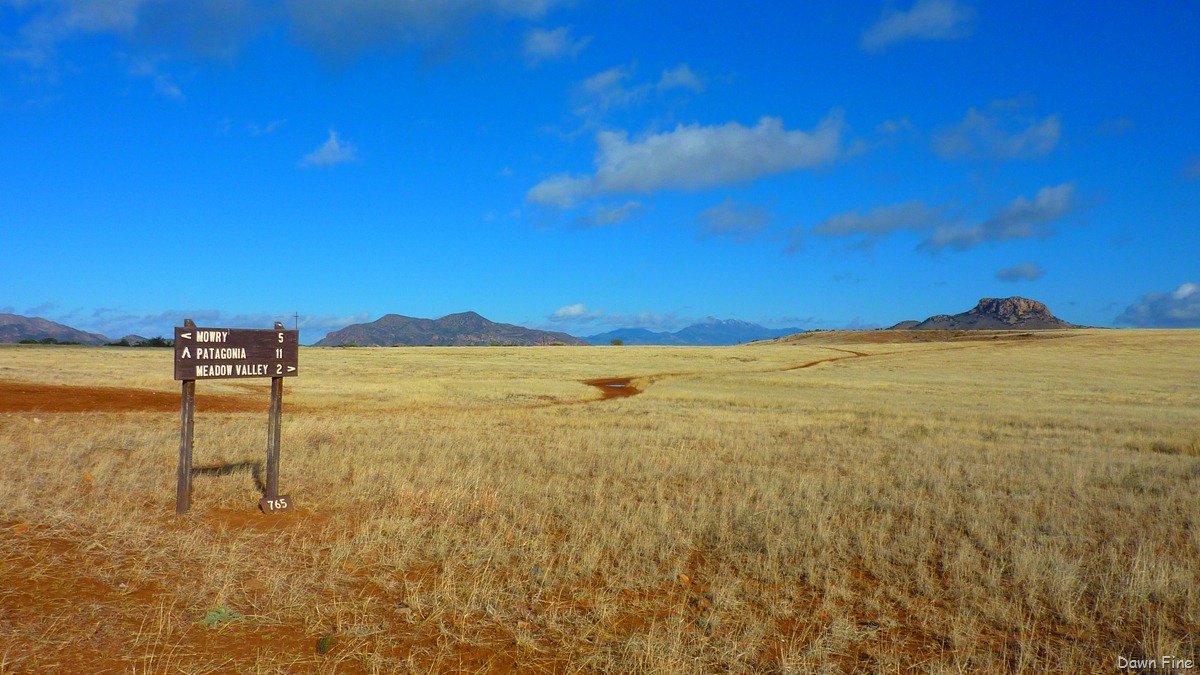 [San Rafael Grasslands_004[3].jpg]