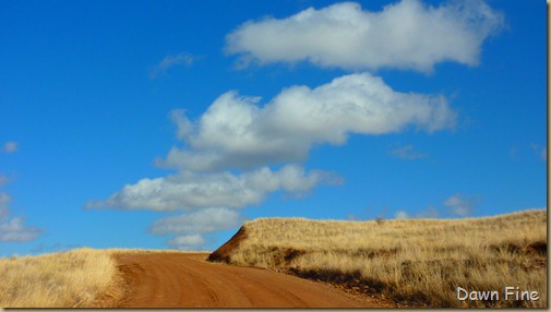 San Rafael Grasslands_021