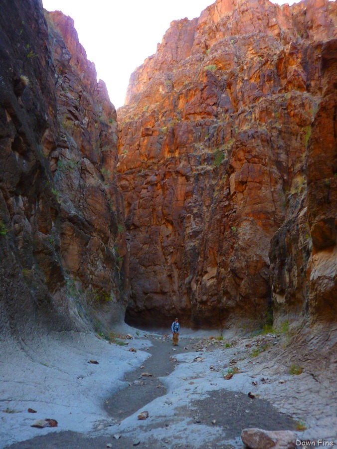 [Big Bend Ranch State park_119[4].jpg]