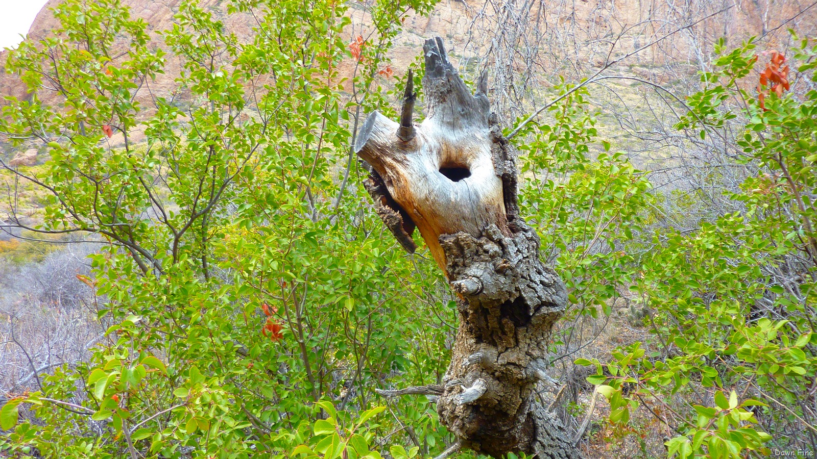 [Windowhike_0164.jpg]