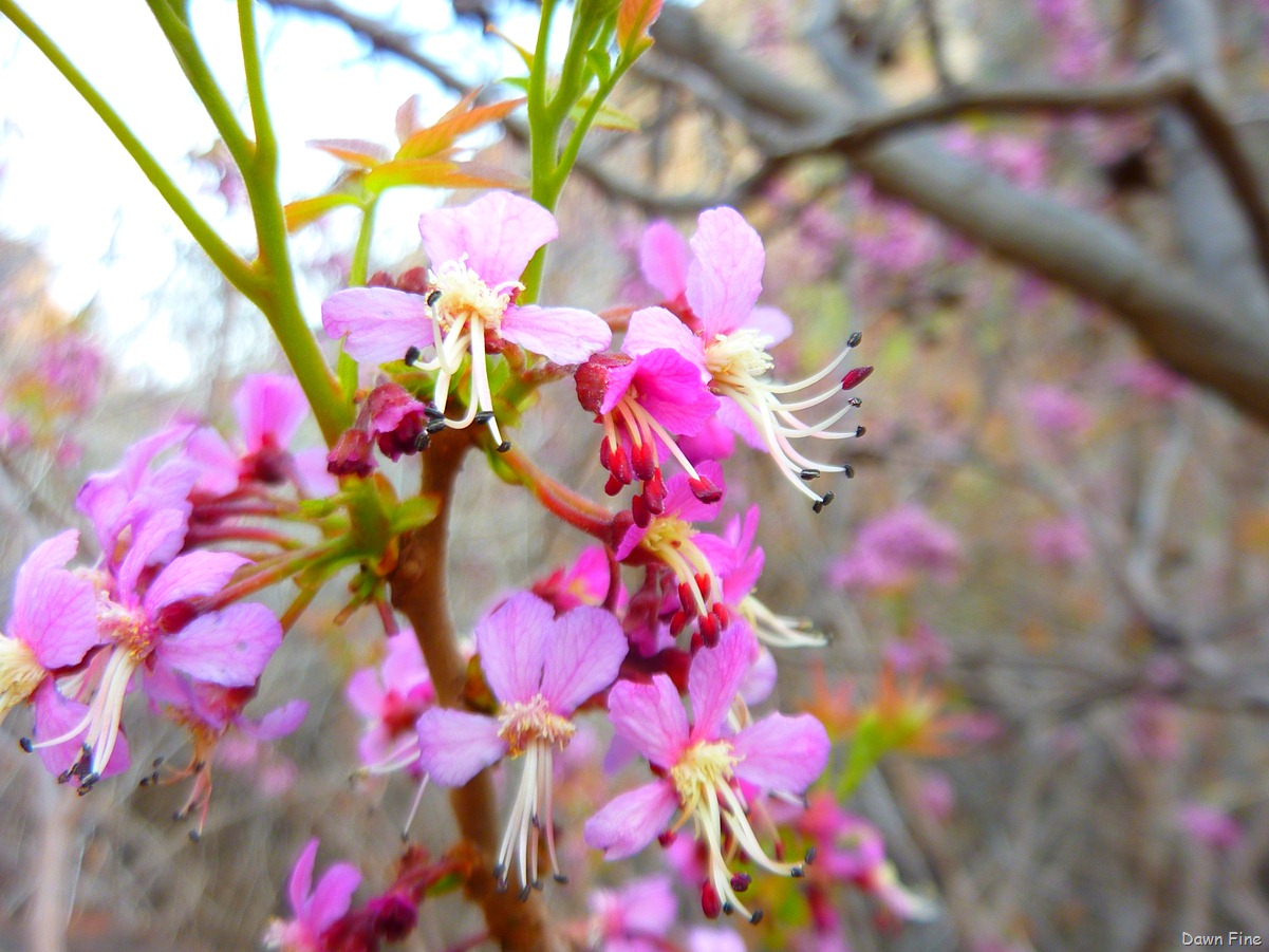 [Windowhike_0314.jpg]