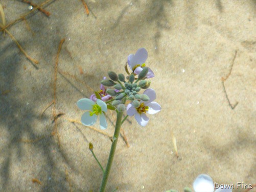 [SantaElena_0114.jpg]