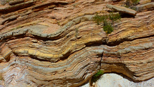 [Ernst Tenaja_029.jpg]