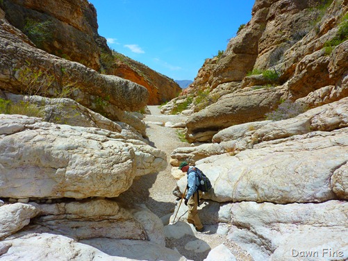 [ErnstTenaja_0453.jpg]