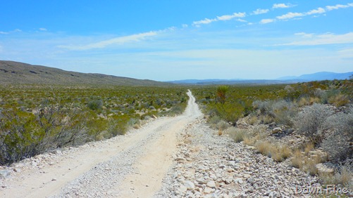 [ErnstTenaja_023.jpg]