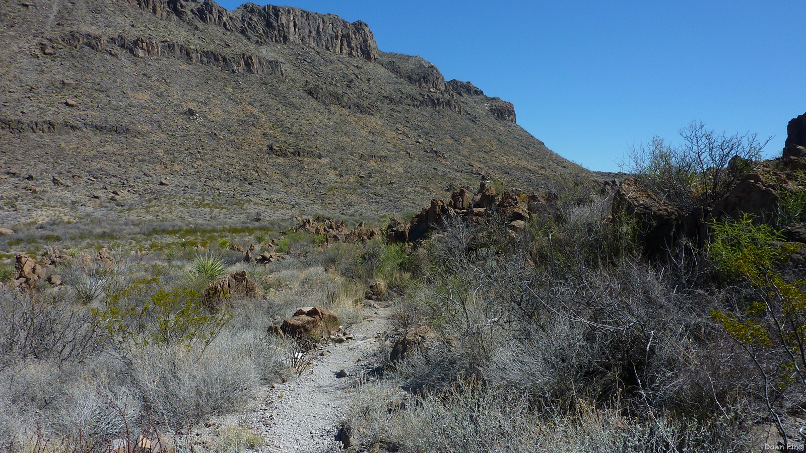 [Big Bend Ranch State park_017[2].jpg]