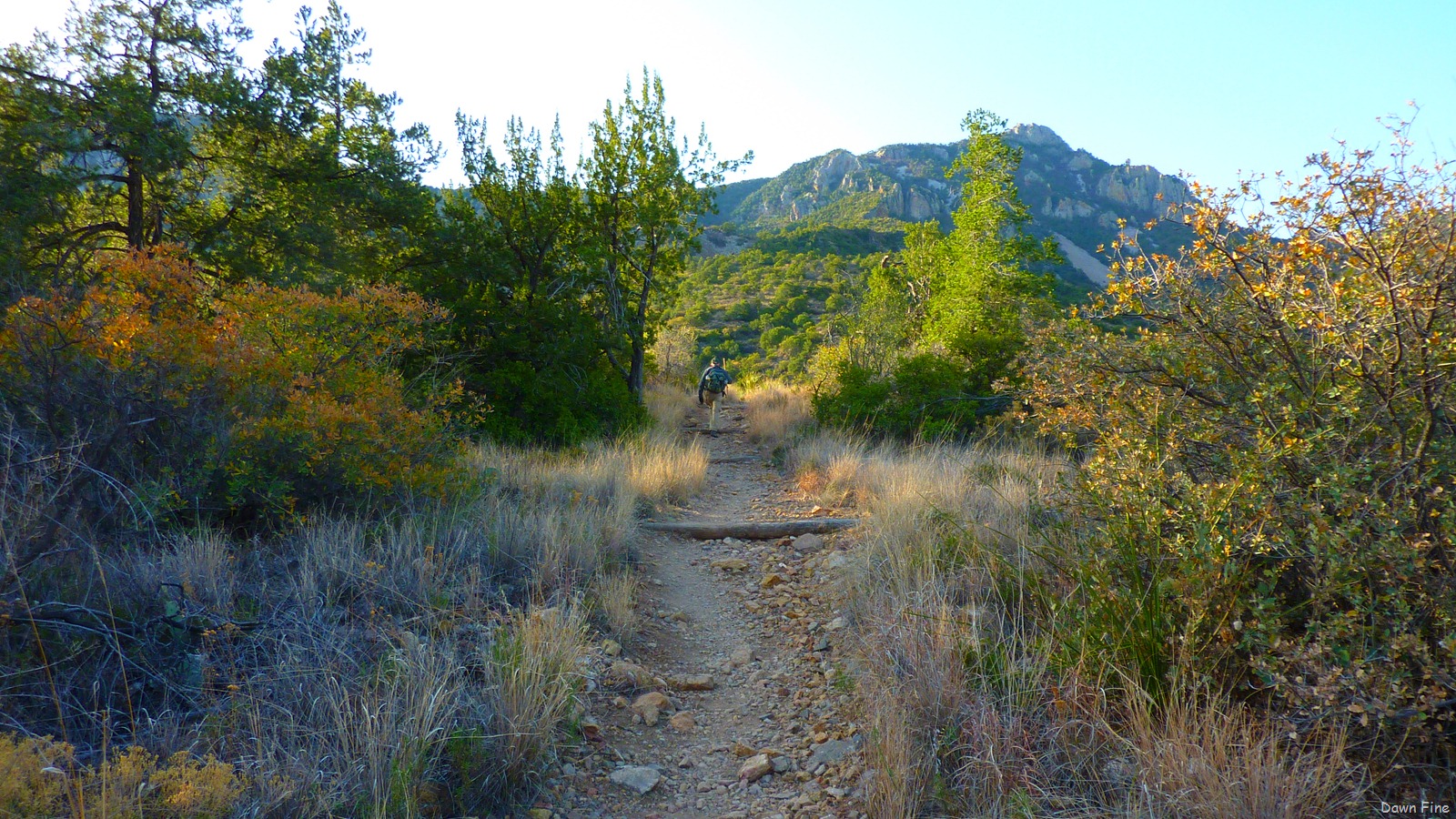 [SouthrimhikeBigbend_0071.jpg]
