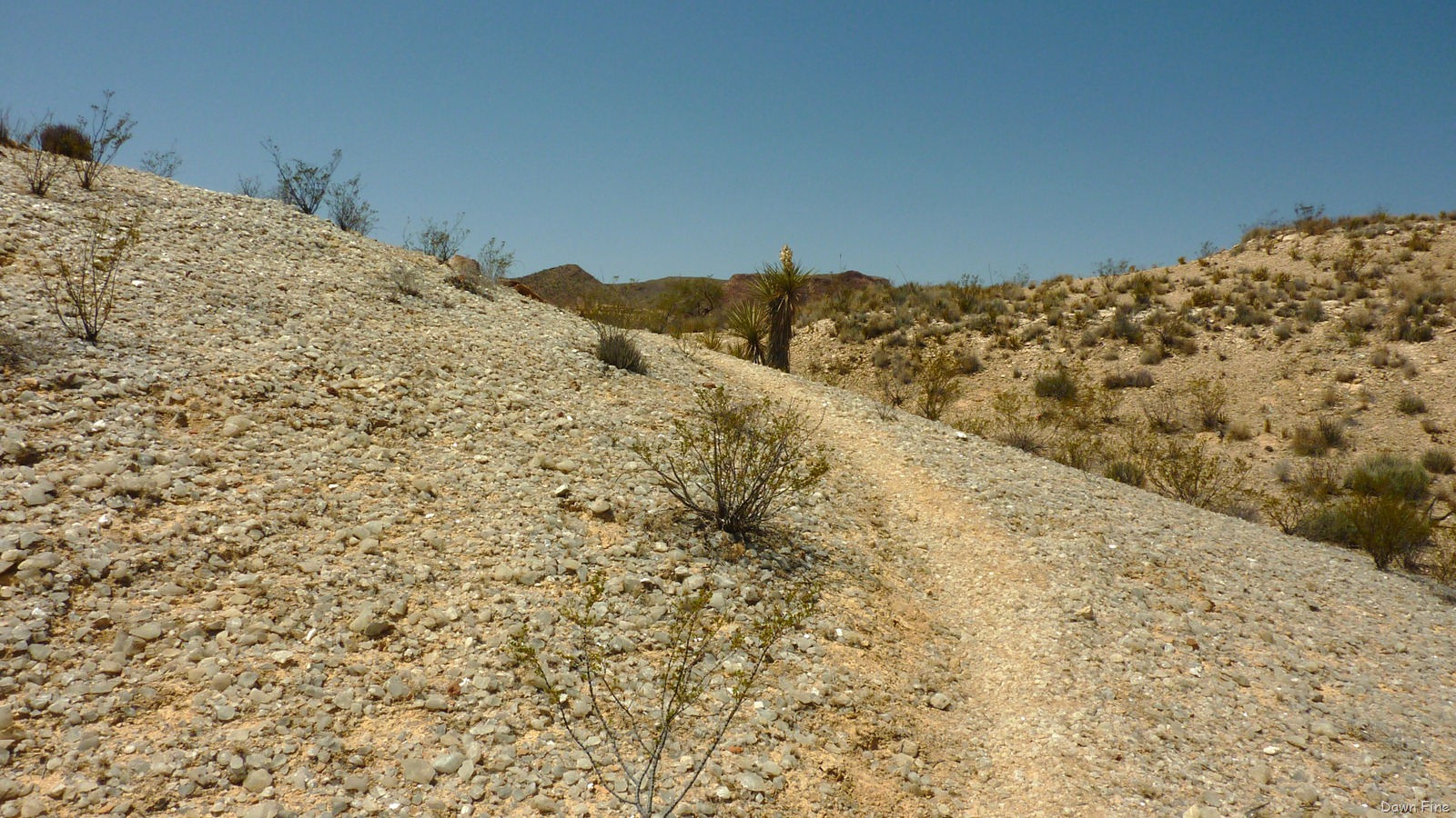 [Crystaltrail_0207.jpg]