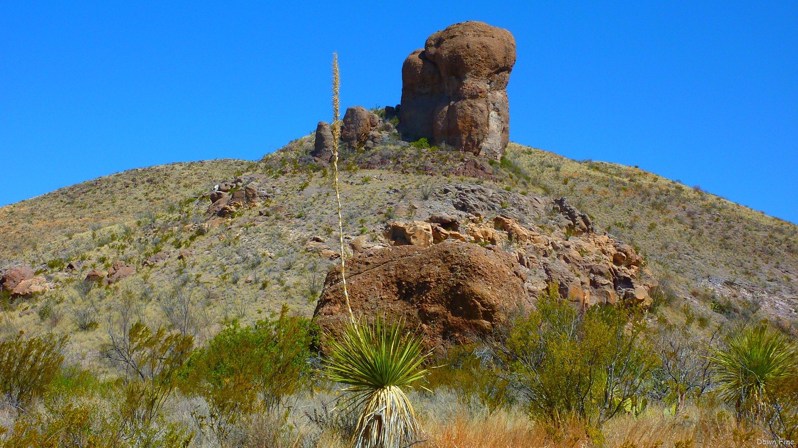 [LAStdaybigbend_0163.jpg]