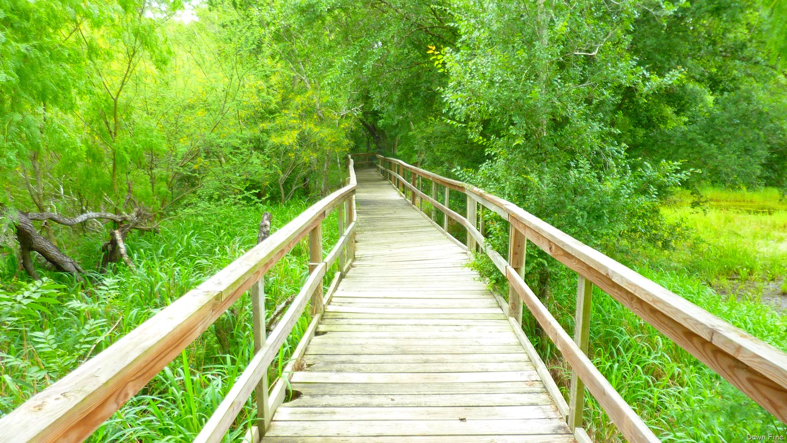 [santaanaandbenston_0164.jpg]