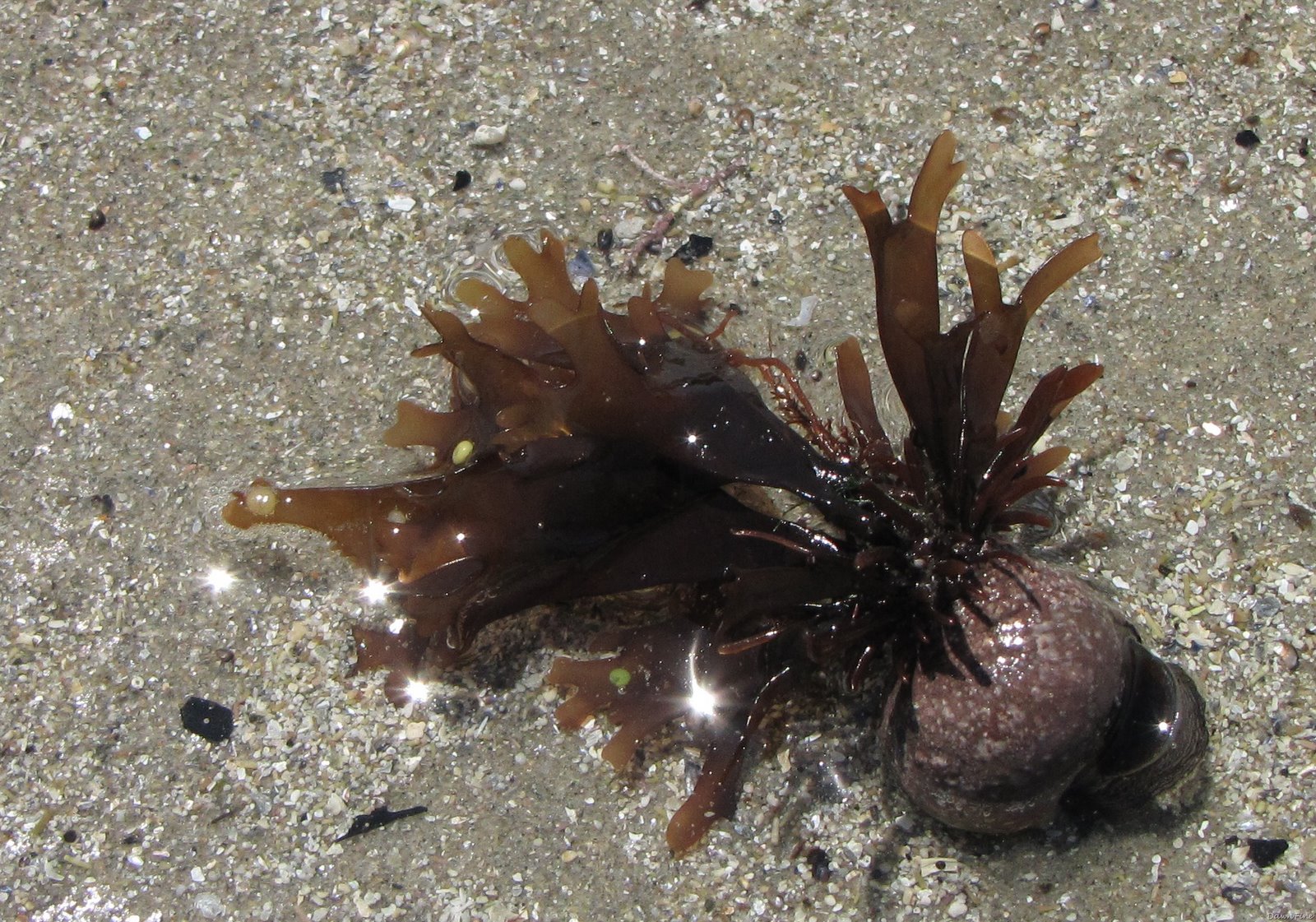 [GoodHarborbeachPassportrest._2009061[6].jpg]
