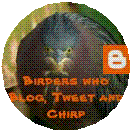 chirp button croped