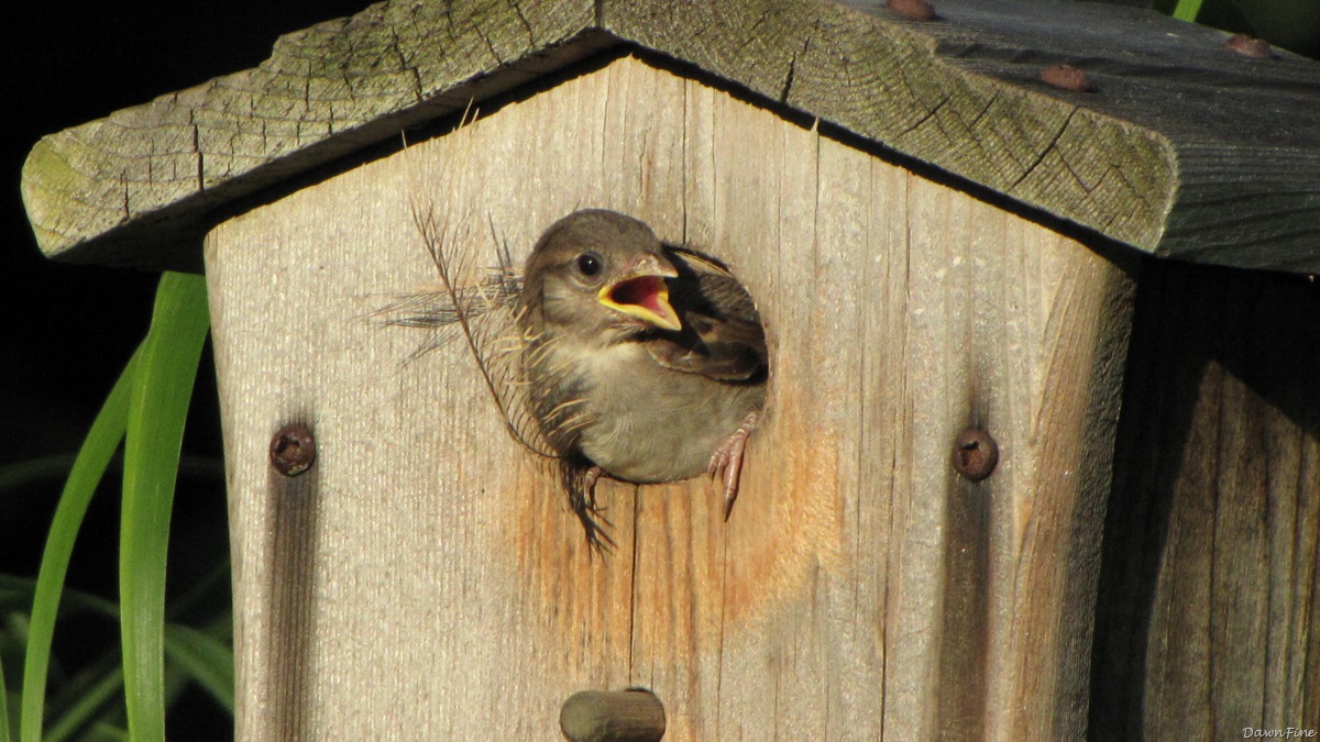 [lorisandthebeach_20090719_2542.jpg]