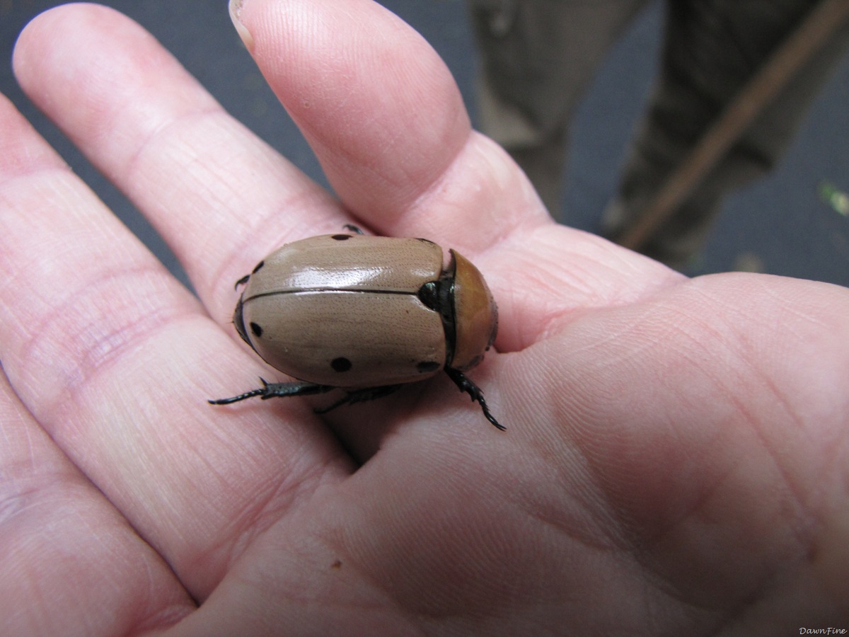 [Marla ave stuff_20090724_024[2].jpg]