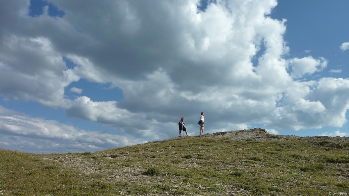 [Elephant mountain hike_20090825_190[2].jpg]