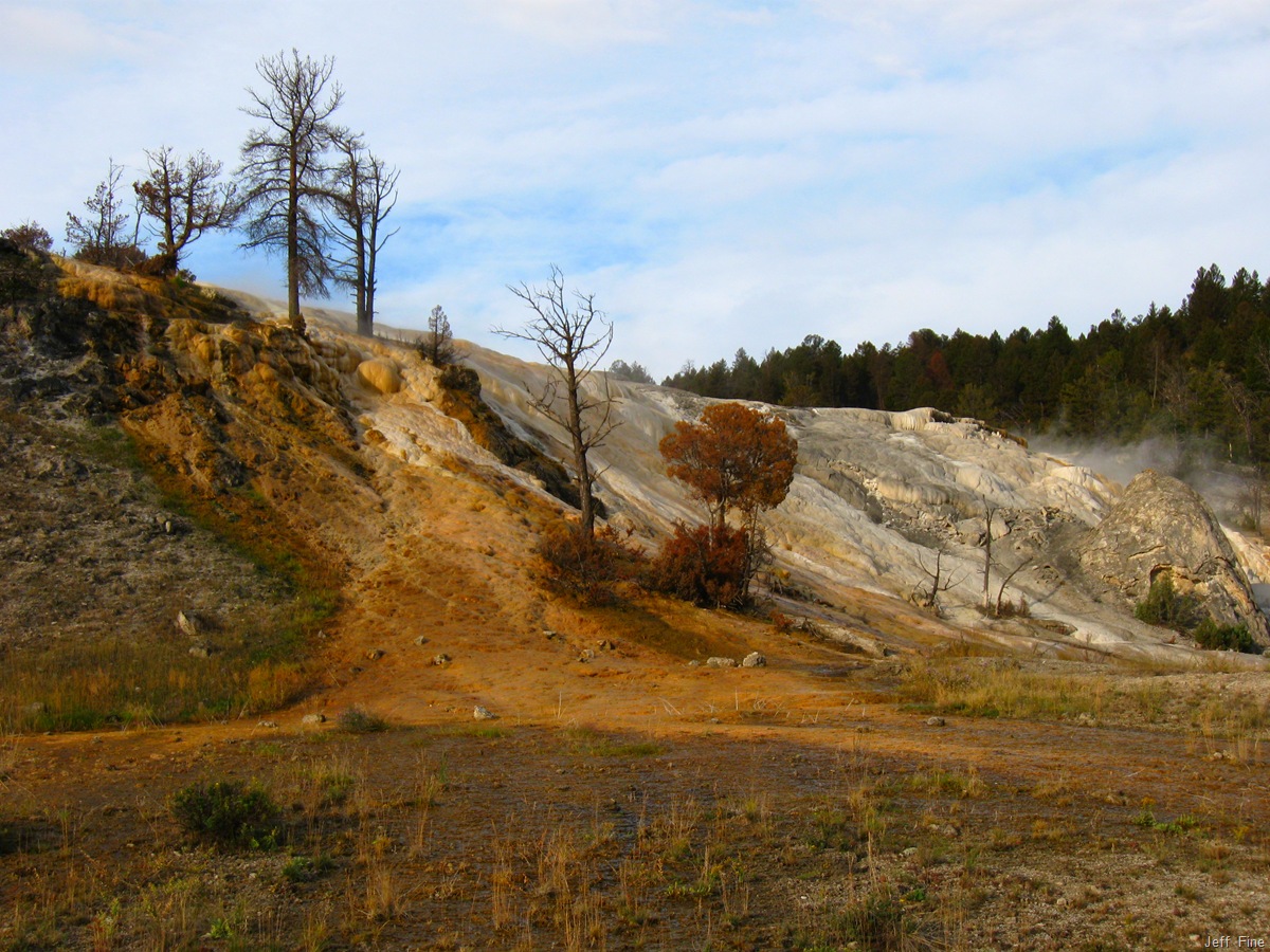 [Yellowstone Jeffs pics_20090906_016[16].jpg]