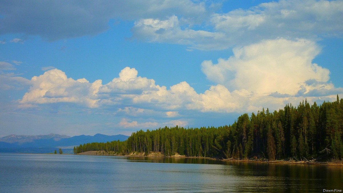 [mammoth to yellowstone lake car tour_20090903_098.jpg]