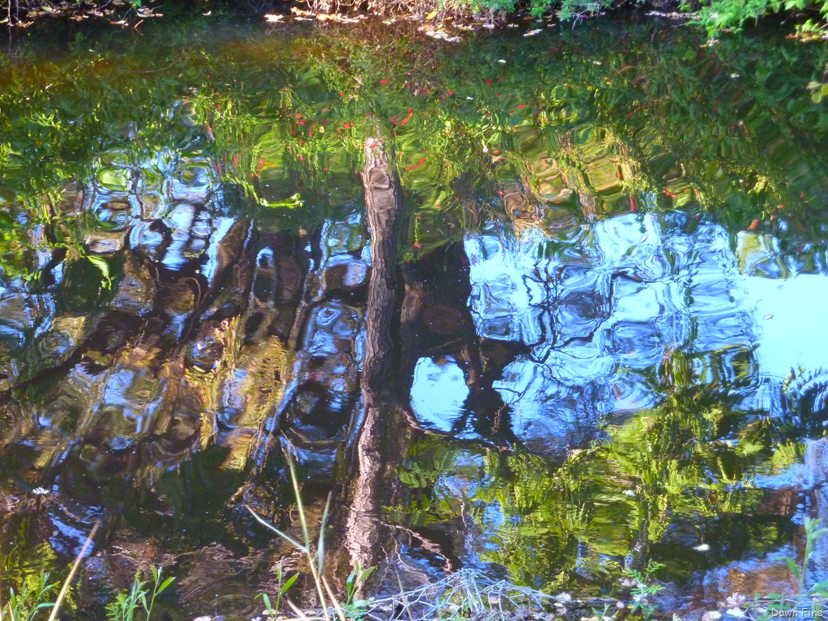 [UC Davis_028[3].jpg]