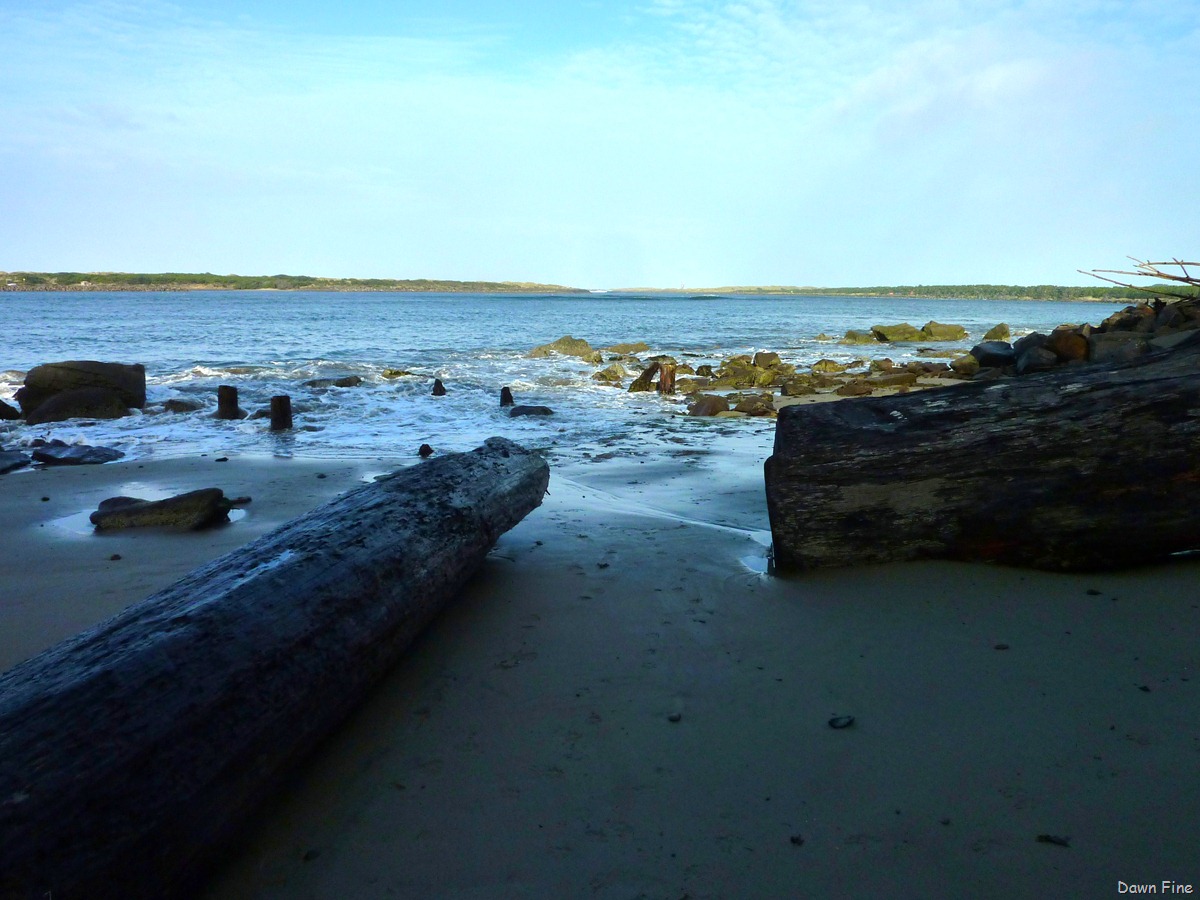 [Beach combing jims_003.jpg]