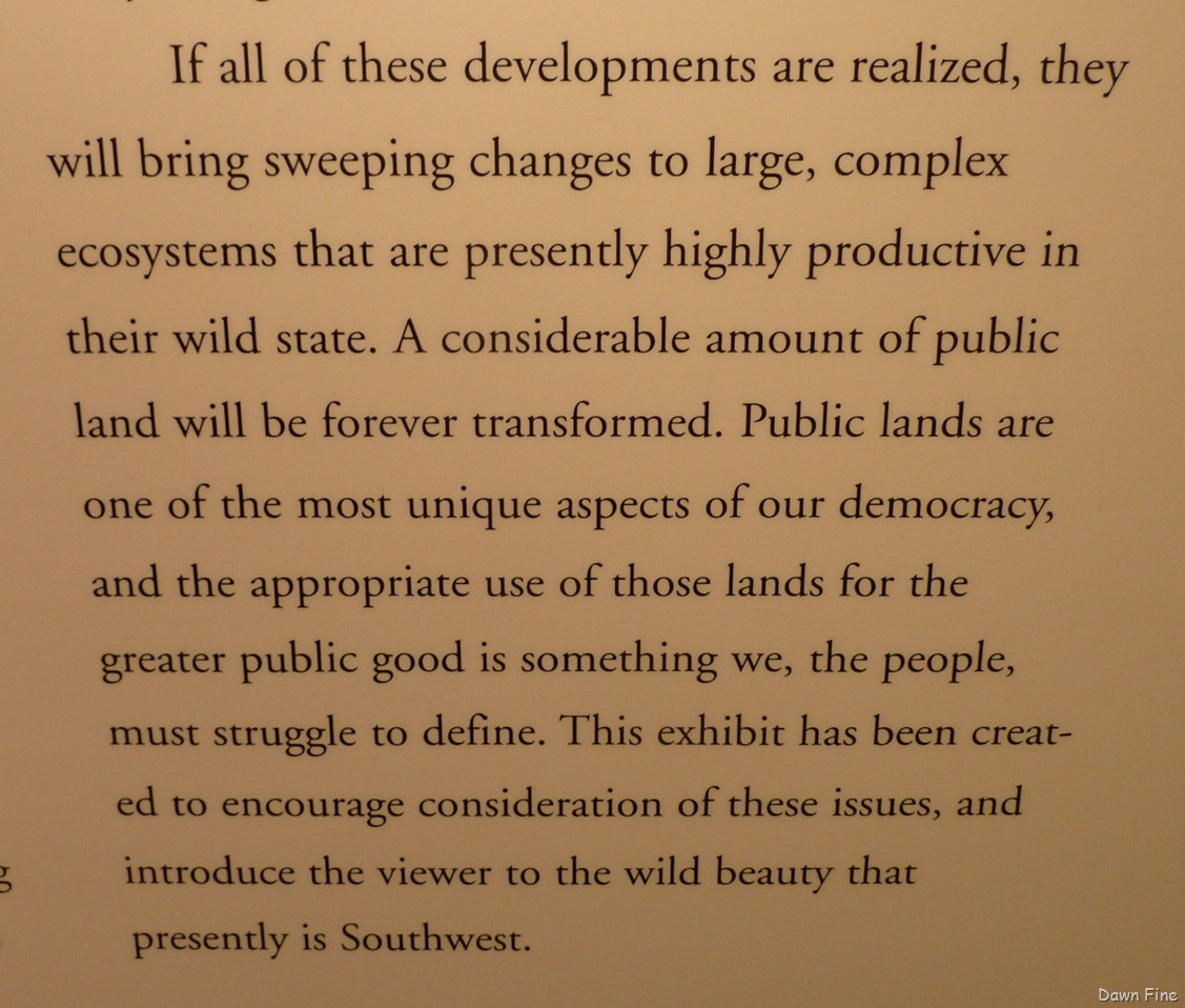 [Sac Artwalk_027.jpg]