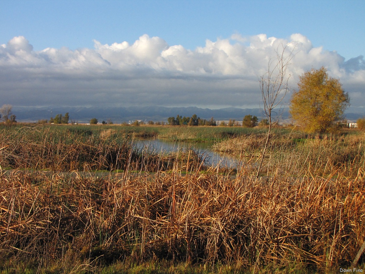 [BwBTC Sac_014[8].jpg]