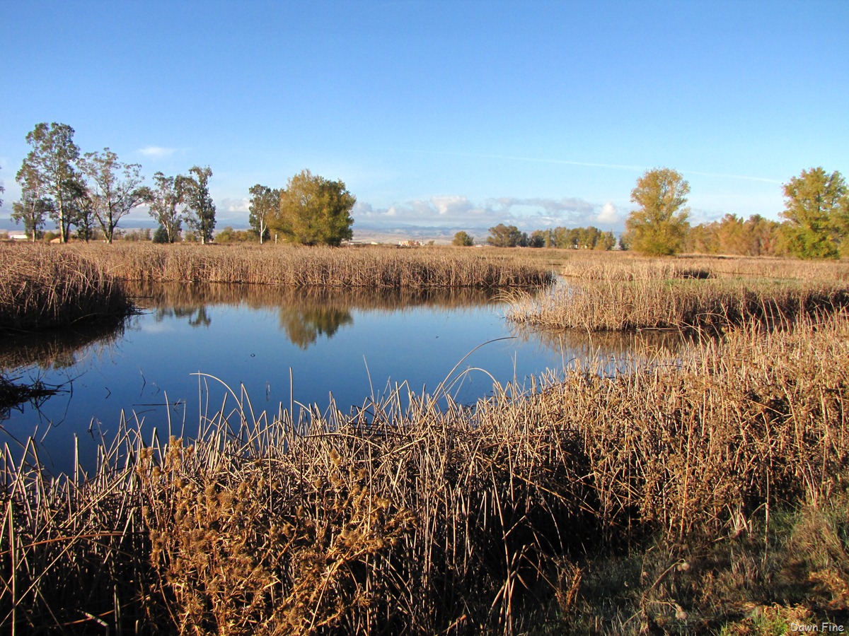 [BwBTC Sac_023[4].jpg]