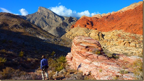 calico hike w David_009