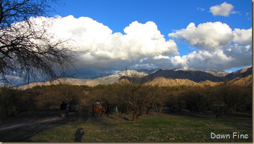 Catalina clouds (5)