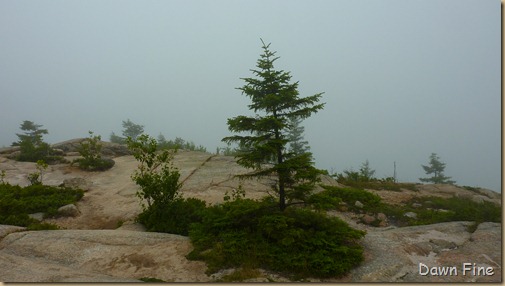 Bubble rock and Jordon pond_008