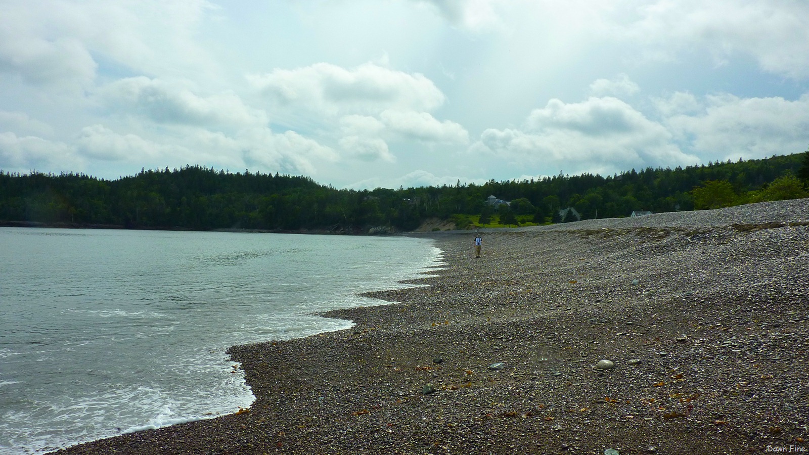 [carridemaine_0223.jpg]