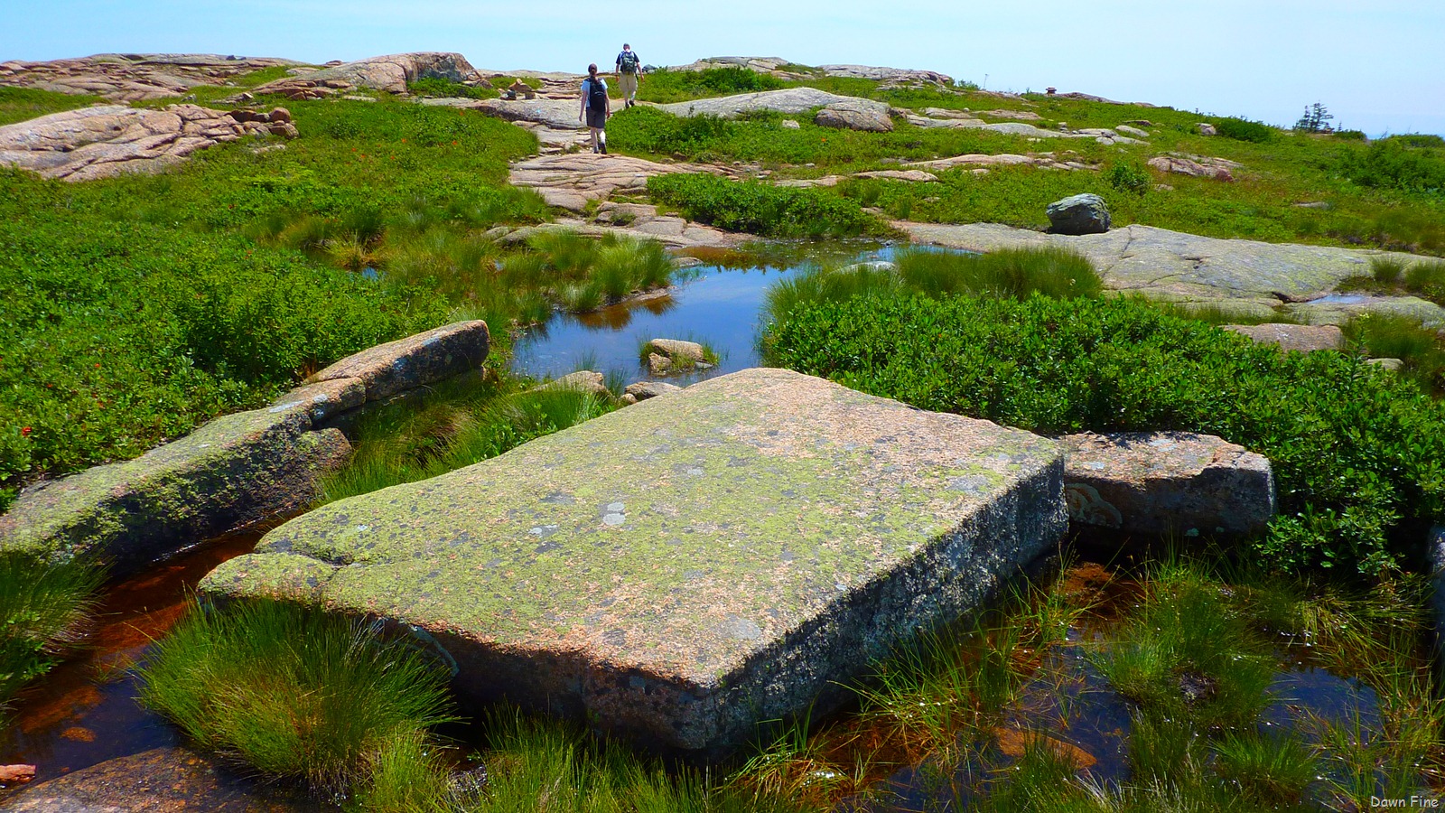 [Sargentmountainhike_1113.jpg]