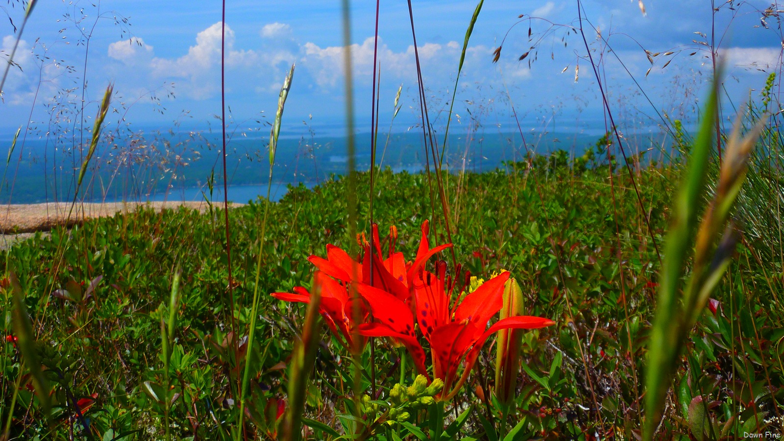 [Sargentmountainhike_0963.jpg]